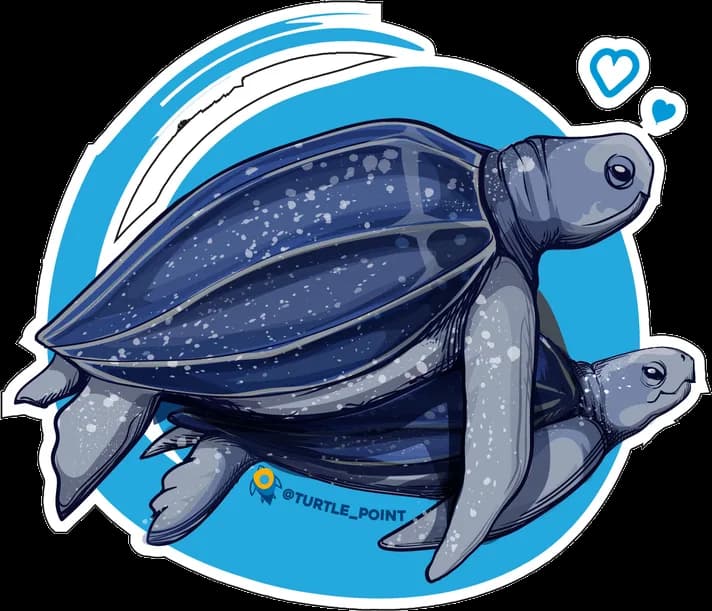 Ilustración de dos tortugas laúd nadando juntas sobre un círculo azul